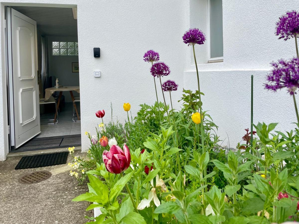 Studio In Stadtnaehe Zuerich Mit Guter Verkehrsanbindung Adliswil Luaran gambar
