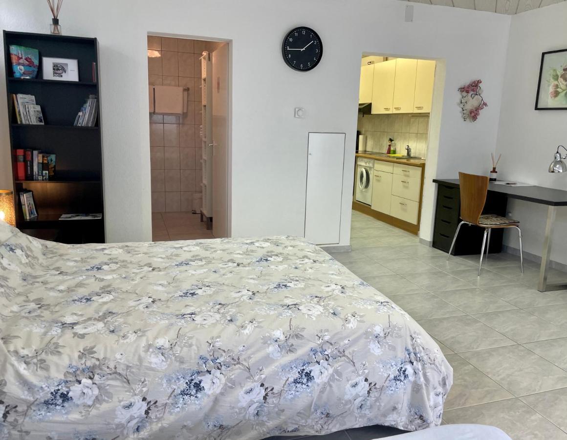 Studio In Stadtnaehe Zuerich Mit Guter Verkehrsanbindung Adliswil Luaran gambar